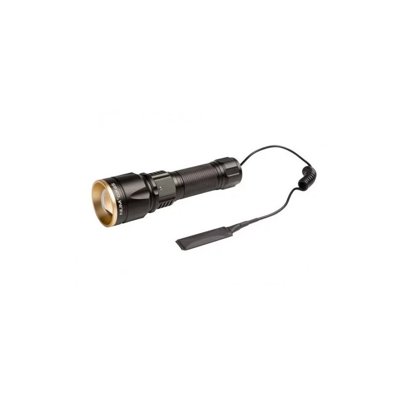 Lampe torche multicolores LMP1019