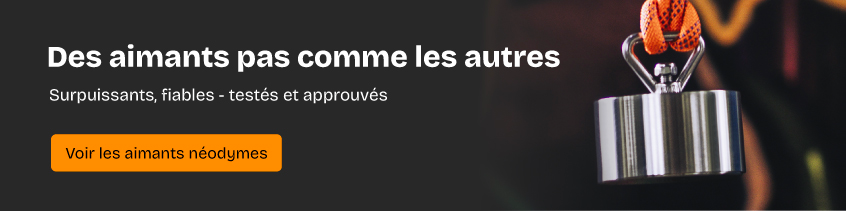 meilleurs aimants pour pêche à l'aimant