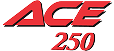 Logo Garrett Ace 250
